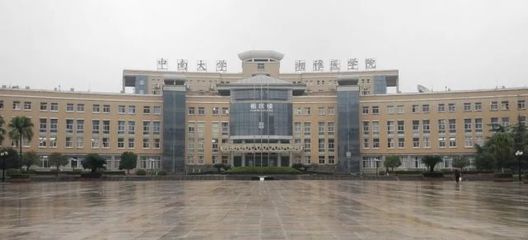 面對大疫,才曉得湖南的戰&ldquo;疫&rdquo;水平真的蠻硬扎!