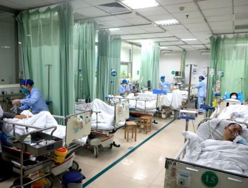 同事獨自供養弟弟多年,卻被弟弟這樣對待,同事 我真的后悔了