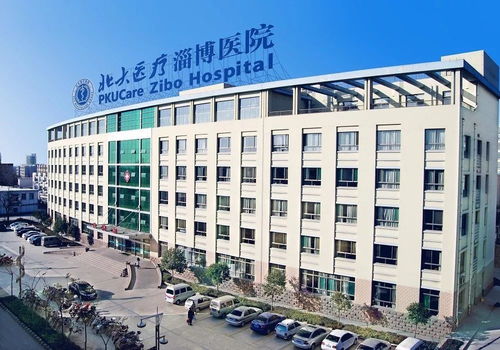 中國(guó)醫(yī)院院長(zhǎng) 北大醫(yī)療淄博醫(yī)院,企業(yè)醫(yī)院改制路上的拓荒者